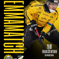 Event image Broberg/Söderhamn - Edsbyns IF/261030/Elitserien Bandy