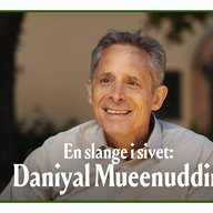 Event image Daniyal Mueenuddin: En slange i sivet / A Snake in The Grass