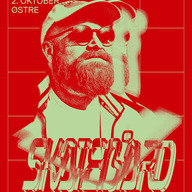 Event image Skatebård hele natten lang