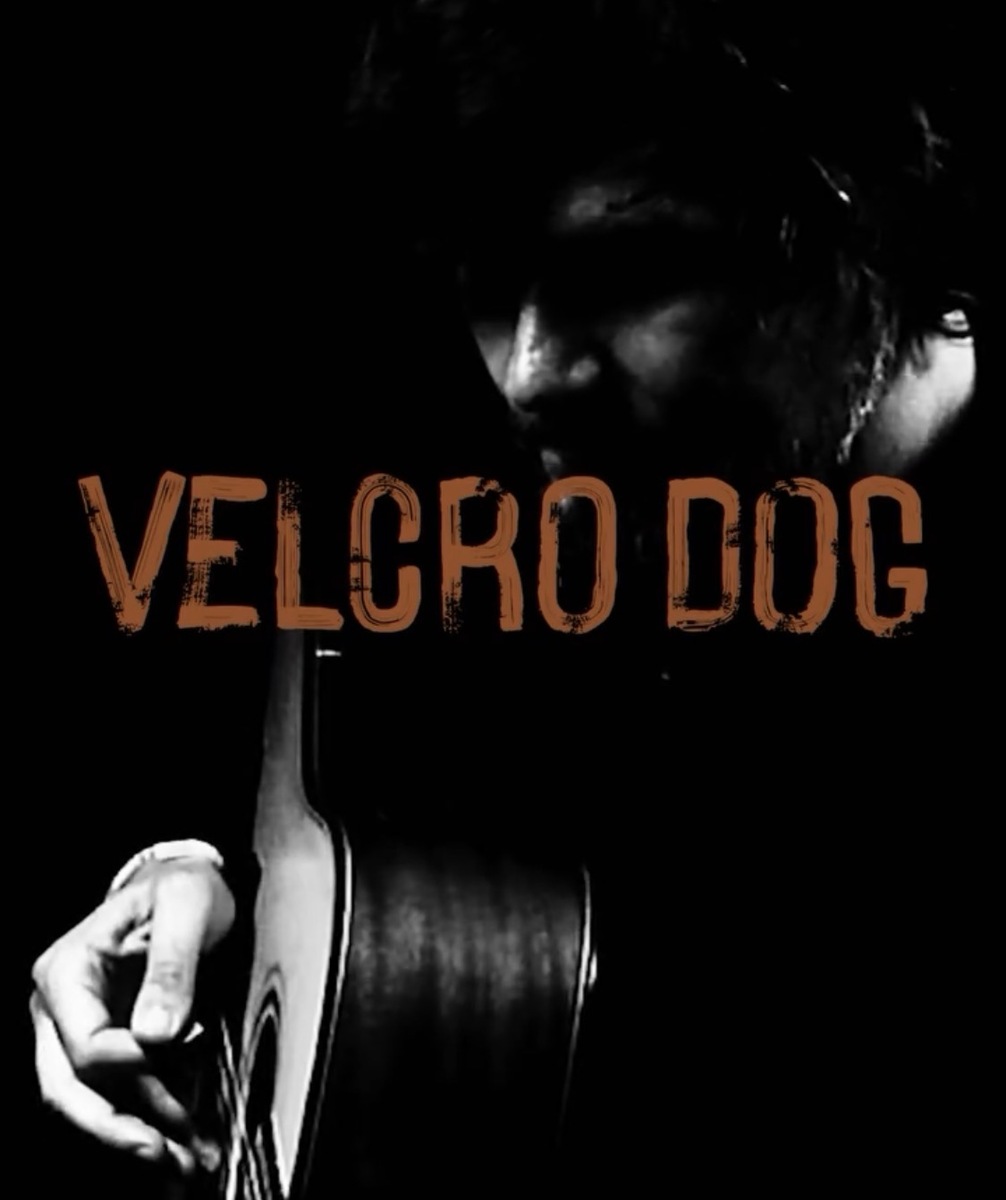 Event image Velcro Dog til Knut