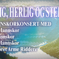 Event image Manligt, härlig och stark - En felleskosnert med Bergen Mannskor, Fana Mannskor, Follesø Mannskor og Mannskoret Arme Riddere