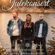 Event image Julekonsert med Lina Haug Trio - Kjente og Kjære Julesanger // Hvelvet Scene 