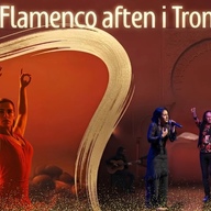 Event image Flamenco Aften i Tromsø