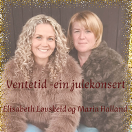 Event image Ventetid - ein julekonsert