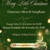 Event image Merry Little Christmas, Stange Kirke