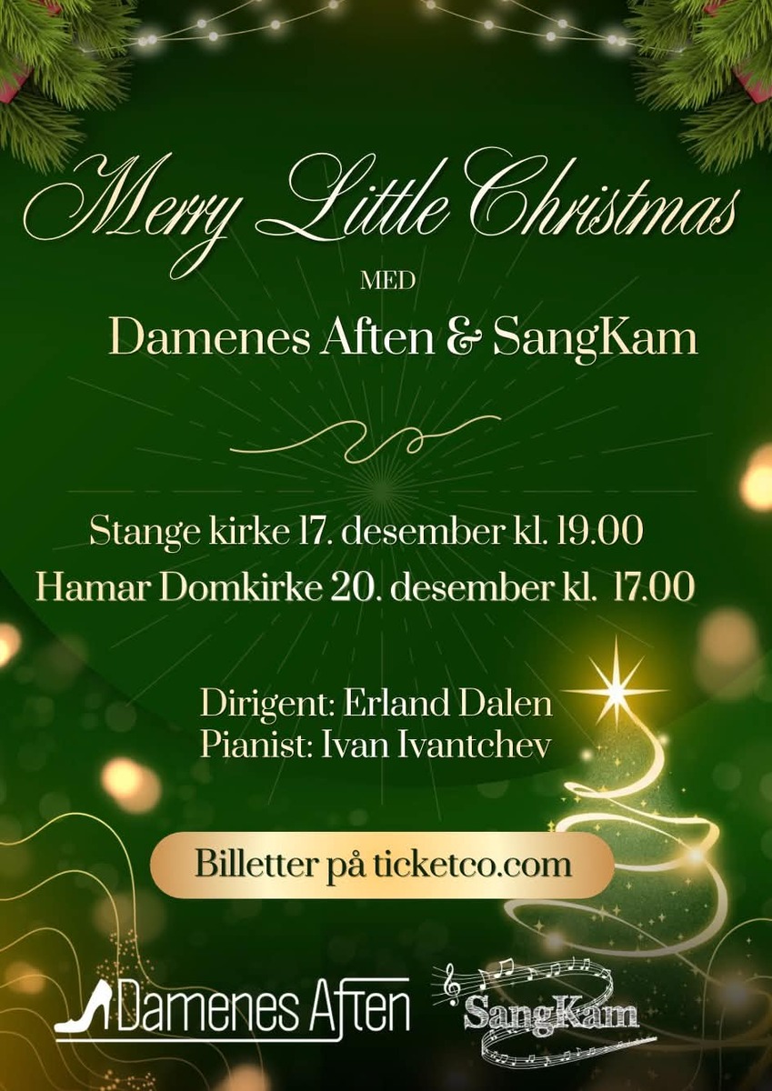 Event image Merry Little Christmas, Hamar Domkirke