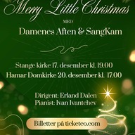 Event image Merry Little Christmas, Hamar Domkirke