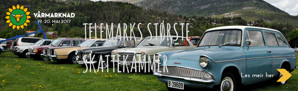 Vårmarknad 2017 frå Vest-Telemark.no