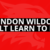 Event image Swindon Wildcats Adult Learn To Play - 29/05/2022 - 5:45pm