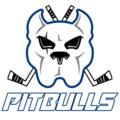 Event image for AIB Milton Keynes Lightning vs. Bristol Pitbulls 5th March 2023