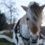 Event image JULEGÅRDSBESØK med påmelding, søndag 11. desember kl. 11.00 - 13.00