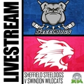 Event image for SHEFFIELD STEELDOGS V SWINDON WILDCATS LIVE STREAM - SUNDAY 19TH FEBRUARY 2023 16:30PM FACEOFF