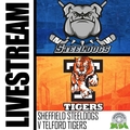 Event image for SHEFFIELD STEELDOGS V TELFORD TIGERS LIVE STREAM - FRIDAY 24TH FEBRUARY 2023 19:30PM FACEOFF