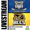 Event image for SHEFFIELD STEELDOGS V BEES IHC LIVE STREAM - SATURDAY 18TH MARCH 2023 16:00PM FACEOFF