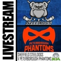 Event image for SHEFFIELD STEELDOGS V PETERBOROUGH PHANTOMS LIVE STREAM - SATURDAY 25TH MARCH 2023 19:30PM FACEOFF