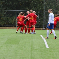 Event image for Hjemmekamper i serien og NM for Røa Dynamite Girls 2023