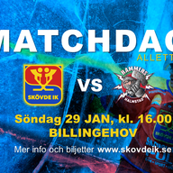 Event image for Allettan Södra, Skövde IK - Halmstad Hammers HC, söndag 29/1 kl. 16.00