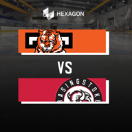 Event image for Hexagon Telford Tigers 1 vs Basingstoke Bison