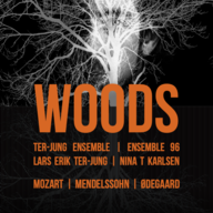 Event image for WOODS // TERJUNGENSEMBLE & Ensemble 96, Nes Menighetshus
