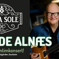 Event image for Frode Alnæs - eksklusiv intimkonsert på Villa Sole
