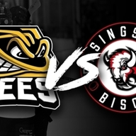 Event image for TSI World Bees vs Basingstoke Bison - LIVE STREAM!