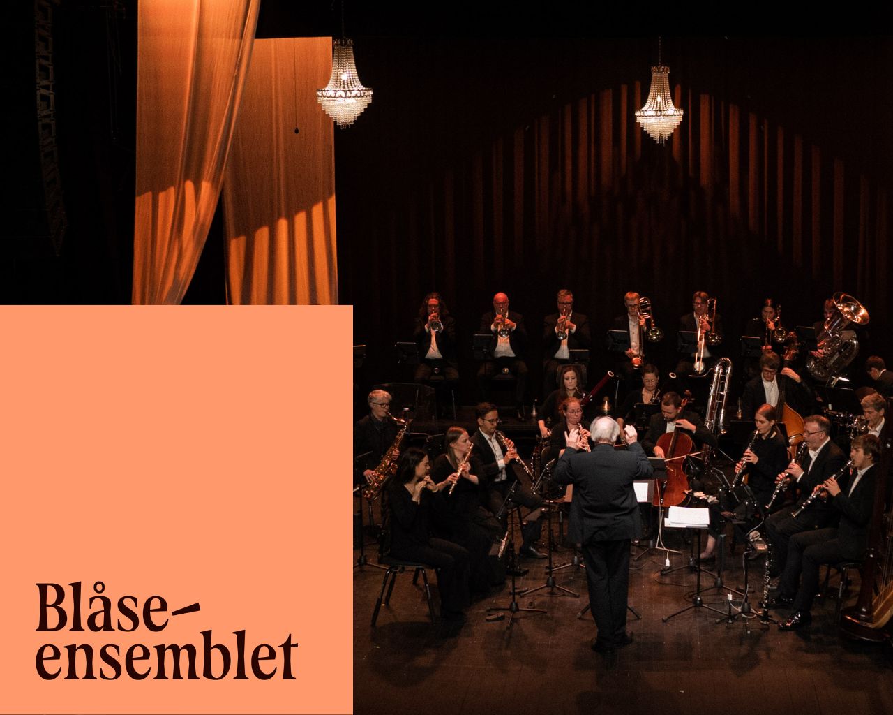 Nyttårskonsert med DNBE