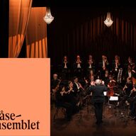 Event image Nyttårskonsert med DNBE