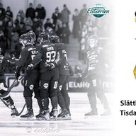 Event image Gripen Trollhättan BK vs Hammarby IF