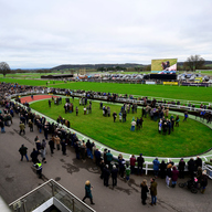Event image Annual Membership 25-26 Including Access to the Paddock Stand