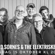 Event image Blues Brothers Tribute, Jan Arild Sørnes & The Elektriske Bandet