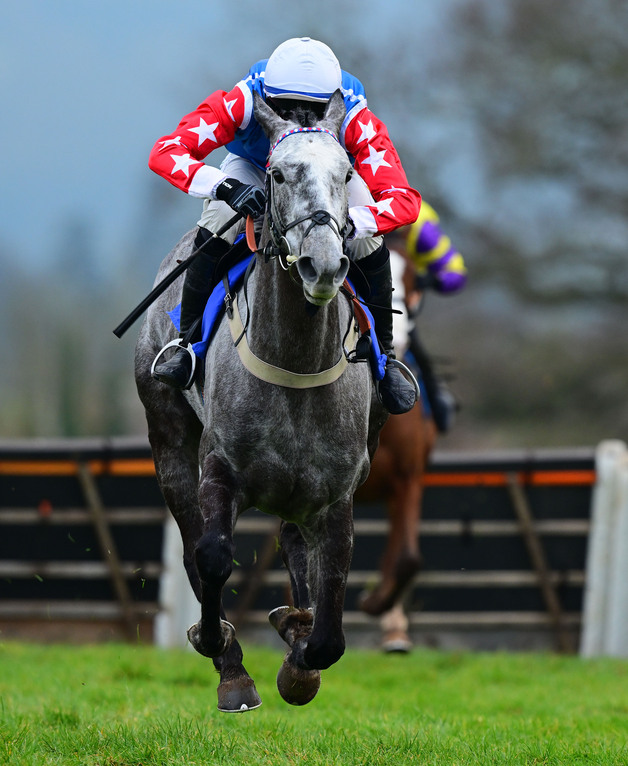Event image Tuesday 30th December - The New Year Raceday