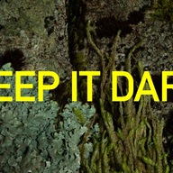 Event image Keep It dark