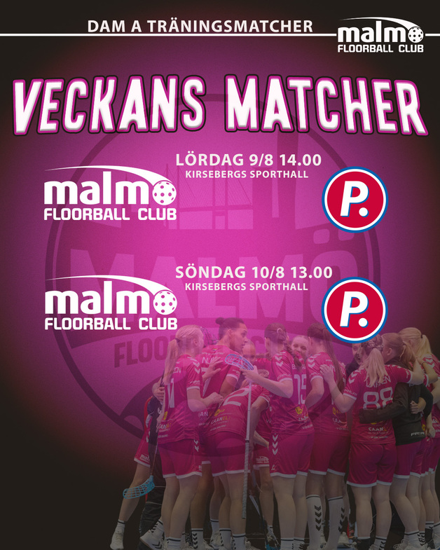 Event image TRÄNINGSMATCH DAM A VS.PARTILLE