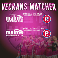 Event image TRÄNINGSMATCH DAM A VS.PARTILLE