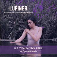 Event image Lupiner - An Outdoor Dance Performance at Operastranda 6. september kl. 15:30