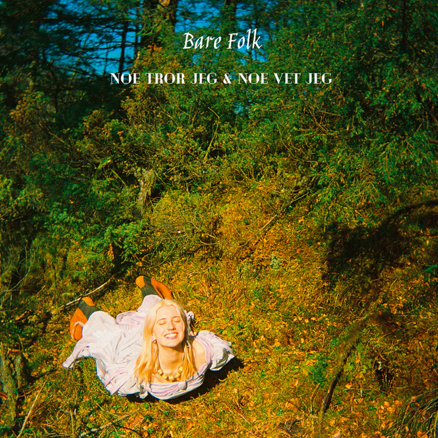Event image Bare Folk på Bergendal