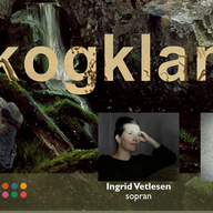 Event image Skogklang - en musikalsk støtteerklæring til skogene vi mister