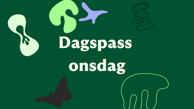 Event image Dagspass onsdag