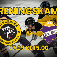 Event image Treningskamp Ringerike - Grüner