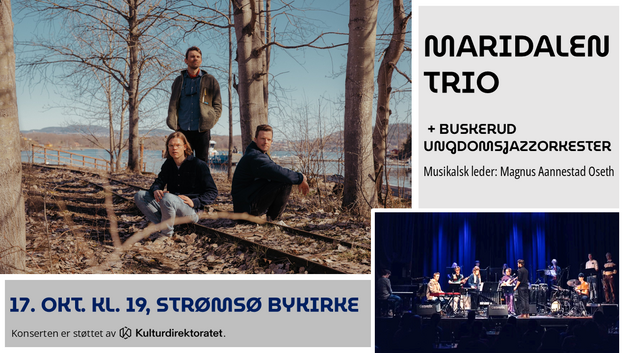 Event image Maridalen og Buskerud Ungdomsjazzorkester // Strømsø bykirke