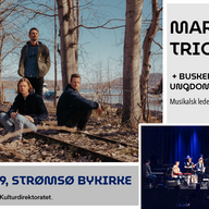 Event image Maridalen og Buskerud Ungdomsjazzorkester // Strømsø bykirke