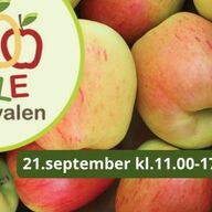 Event image Eplefestivalen på Lier Bygdetun 21.september kl.11.00-17.00