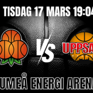 Event image Umeå Basket vs Uppsala