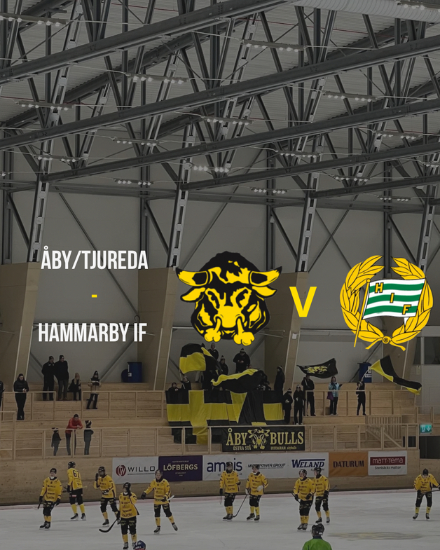Event image Åby-Tjureda IF - Hammarby IF - Elitserien