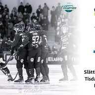 Event image Gripen Trollhättan BK vs IF Boltic