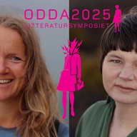 Event image SKJØNT DET MØRKT SÅG UT