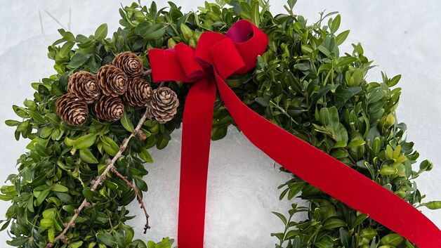 Event image Jul for voksne. Lag en julekrans med Camilla fra Skog Blomsterverksted