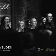 Event image Om kvelden – Julekonsert med TRILL 2025 [EKSTRA BILLETTER]