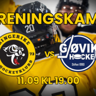 Event image Treningskamp Ringerike - Gjøvik