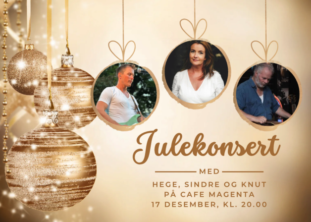 Event image Julekonsert med Hege, Sindre og Knut